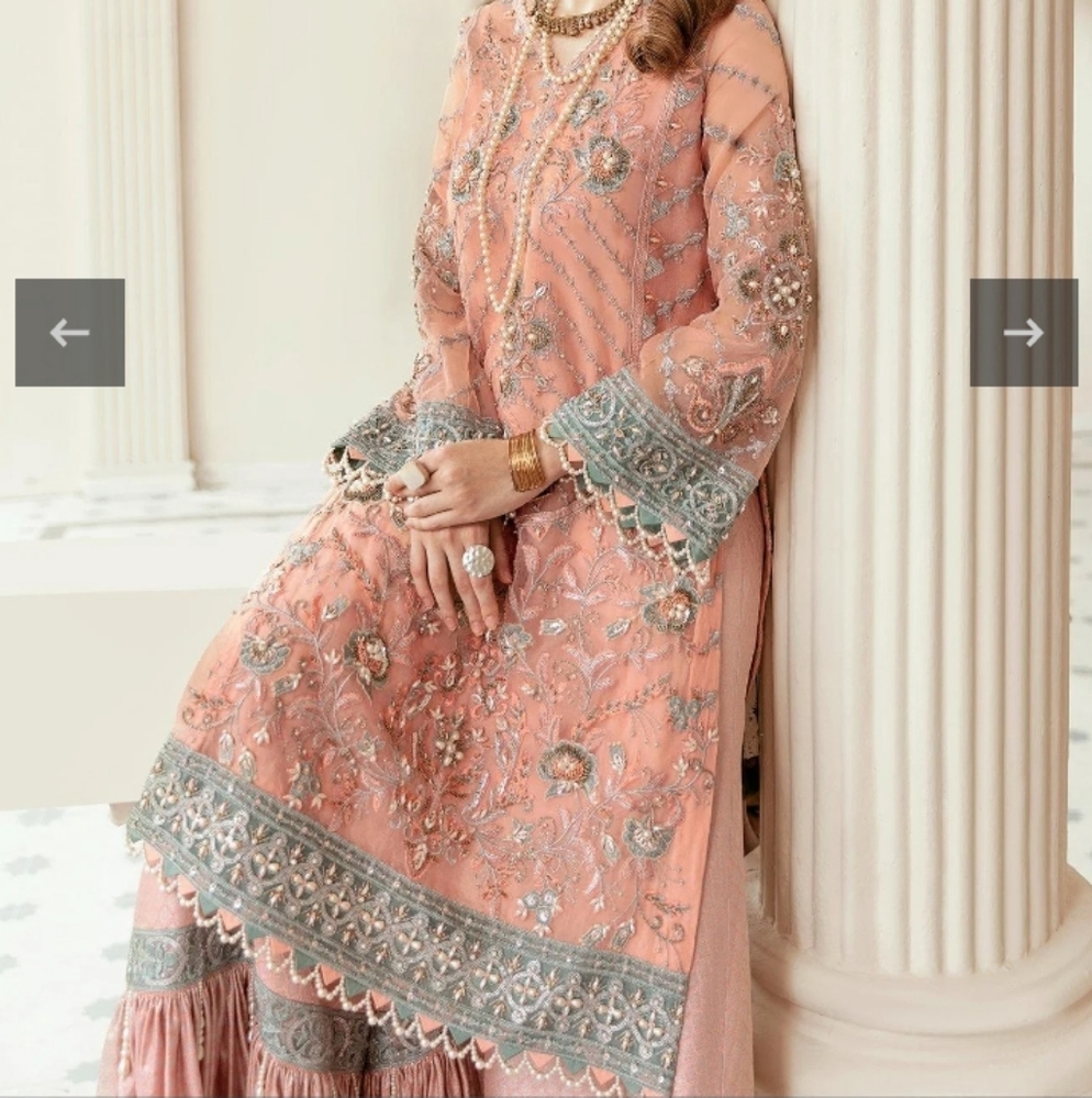 Fancy designer suit with alot of embilishment/ pary wear luxury dress